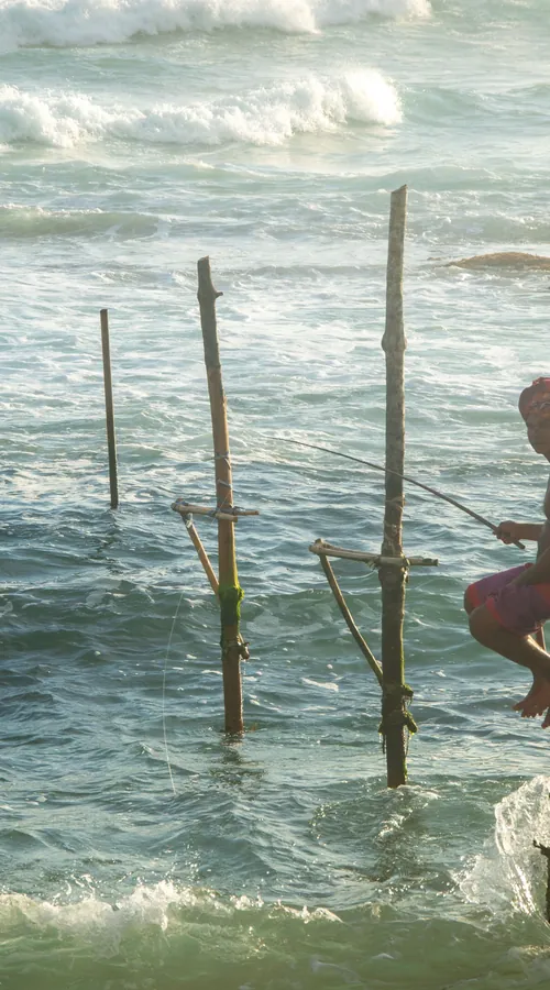 Stilt fishermen at work off Sri Lanka's south coast